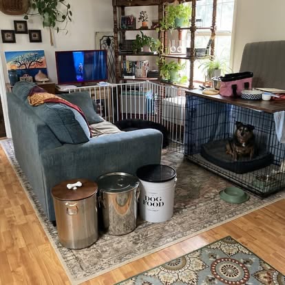 Belinda, photo 25