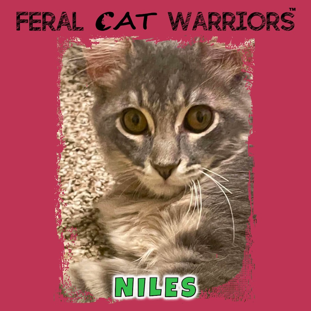 Niles