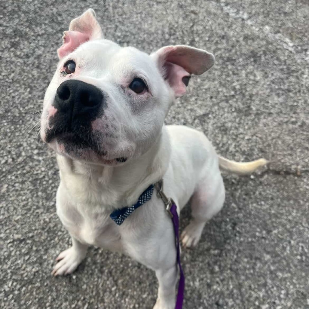 Frosty — thumbnail 4