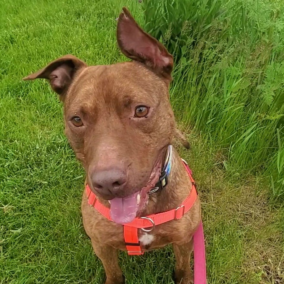 Simba-Foster — thumbnail 4