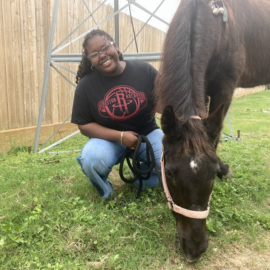 RAVEN - Standardbred available for adoption