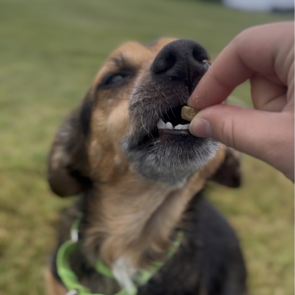 Oscar