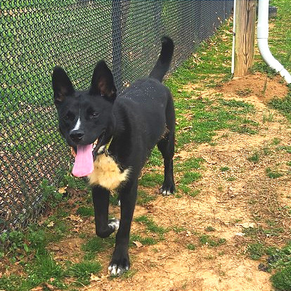 Cody — thumbnail 10