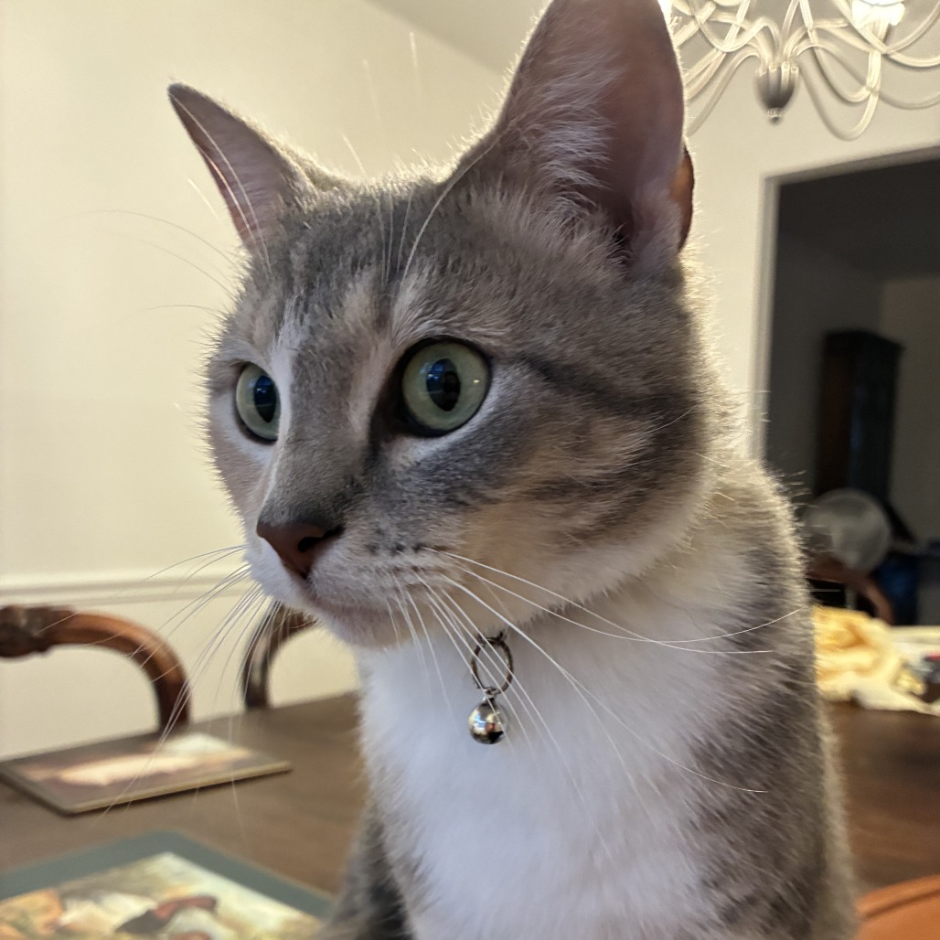 Coconut Patty — thumbnail 2