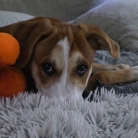 Marco, photo 3