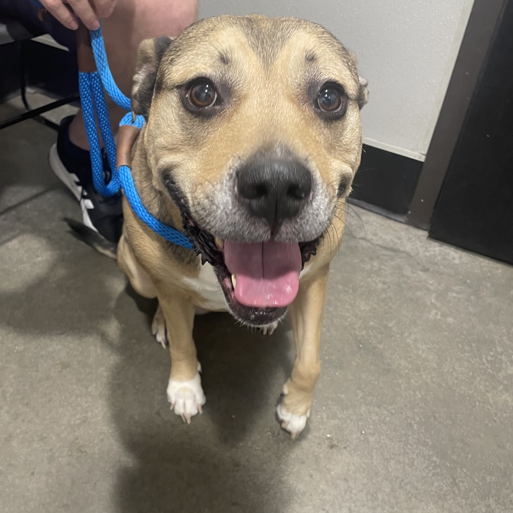 Bailey 2 — thumbnail 3