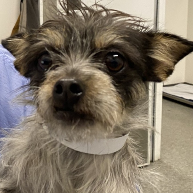 Eleanor — thumbnail 2