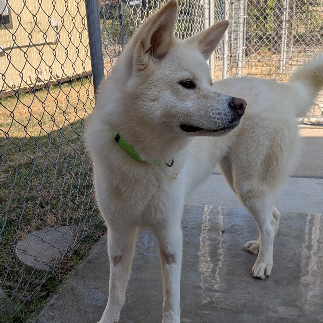 Maggie photo 3