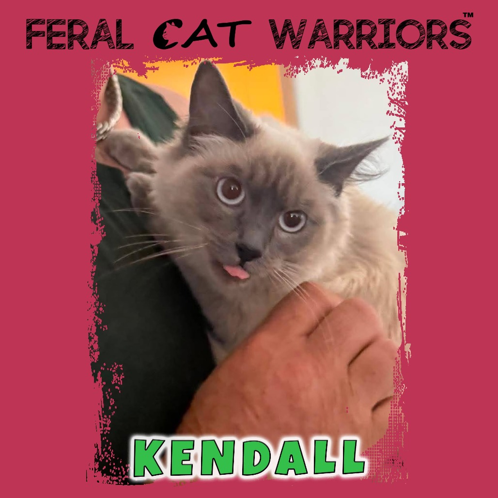 Kendall