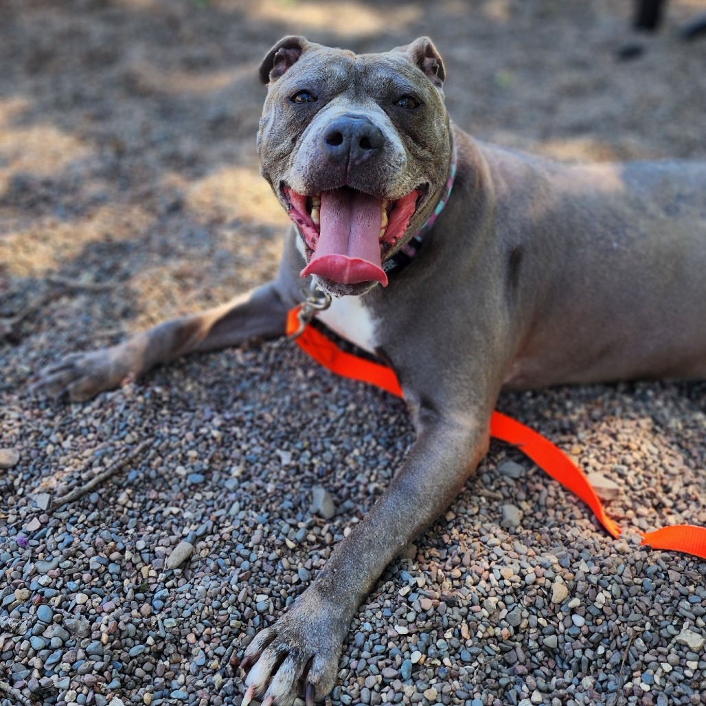 Lucy Lu, additional photo