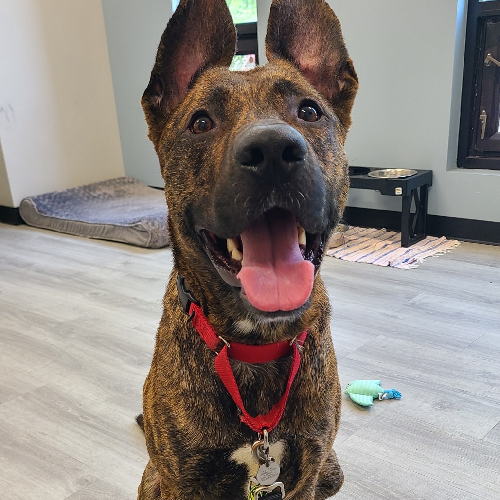 Spencer — thumbnail 4