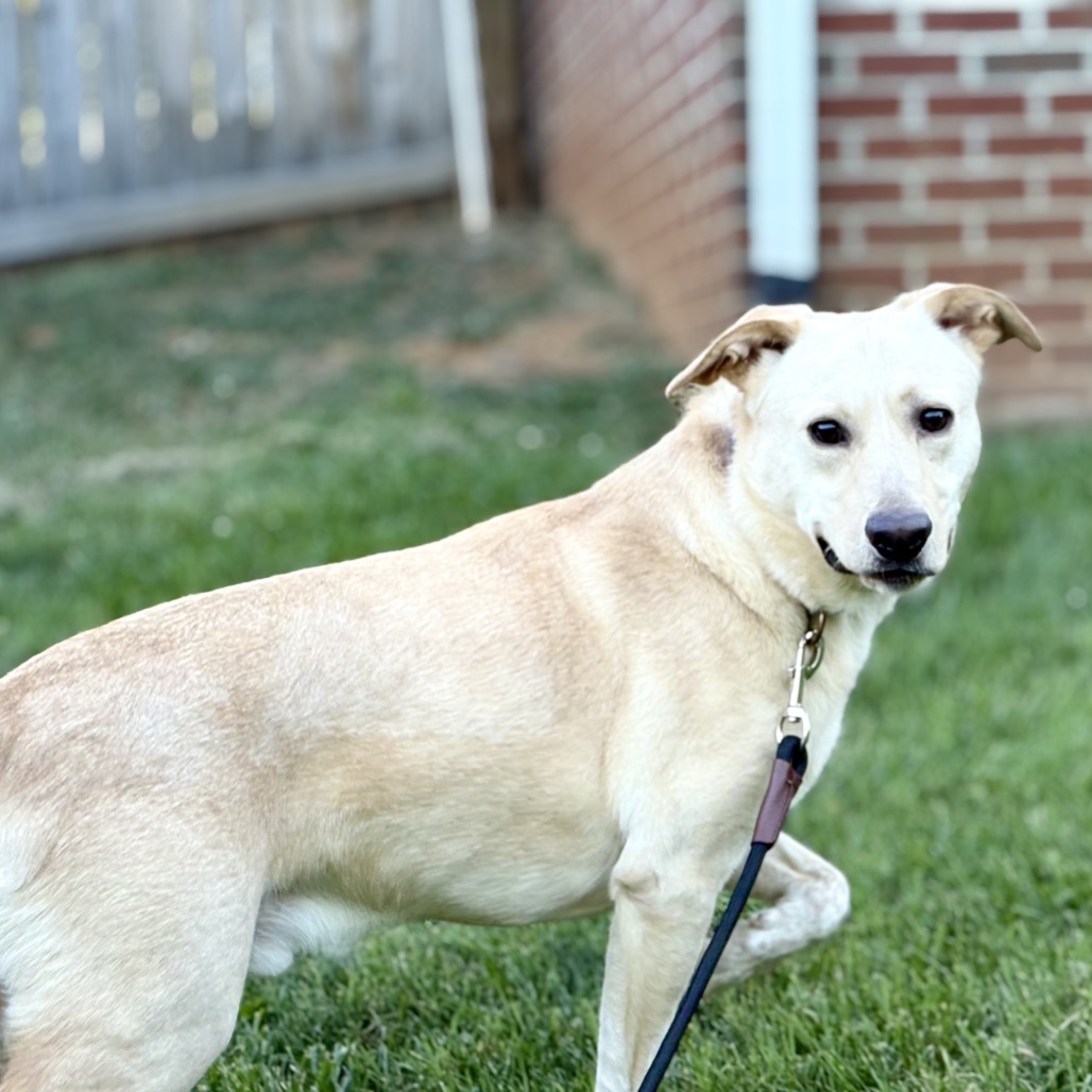 Butter, photo 27