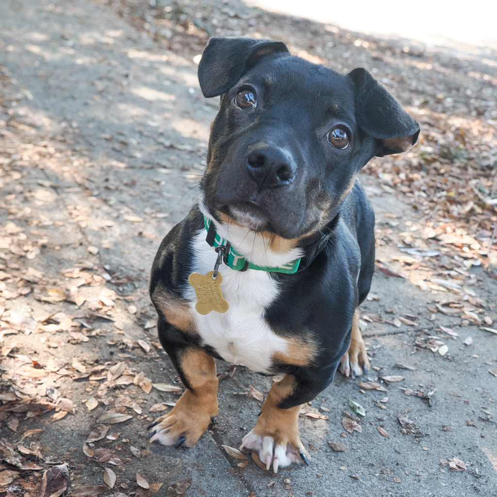 ZUKO