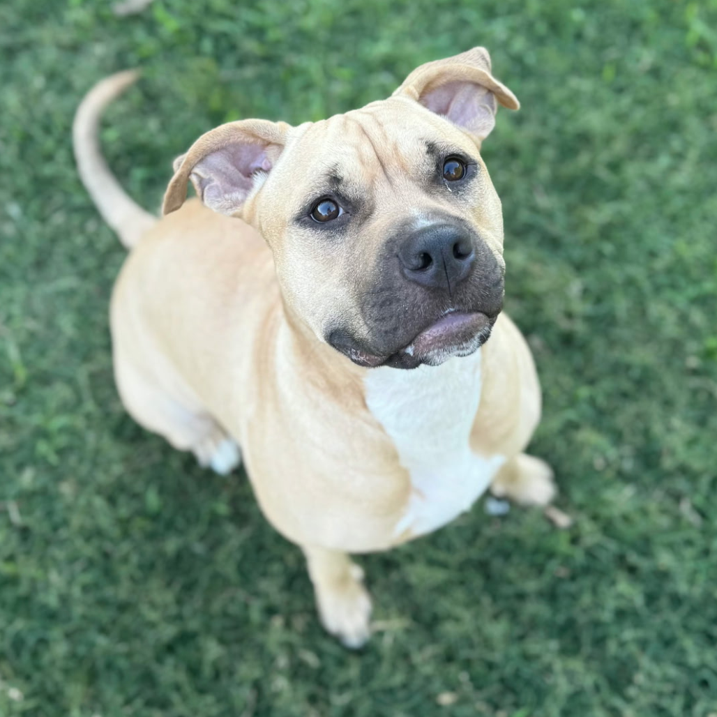 Nova Love, photo 7