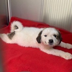 B#11's preview photo