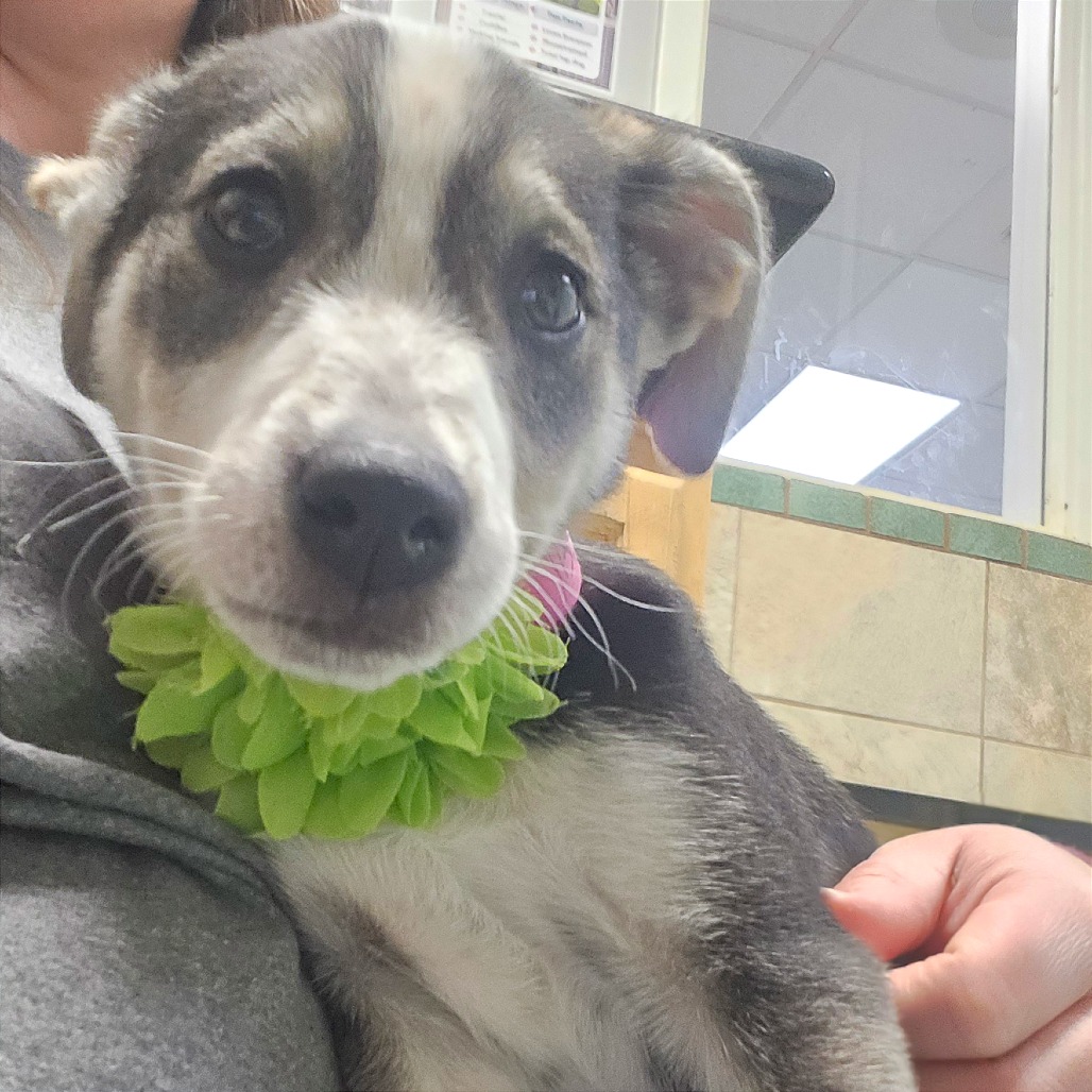 Bologna — thumbnail 9