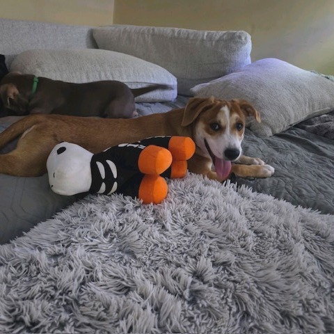 Marco, photo 5