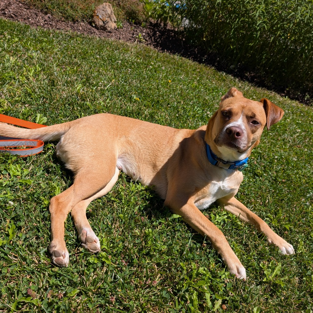 KASHA, photo 22