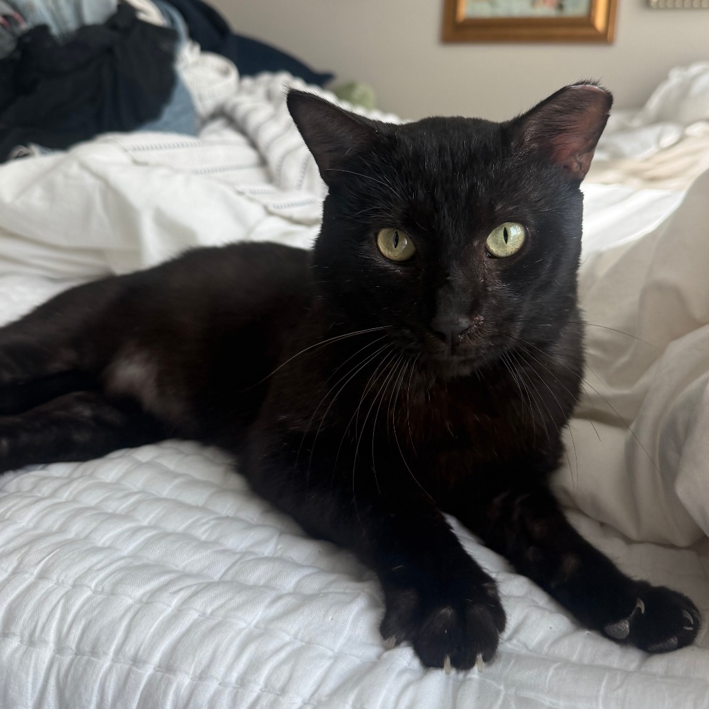 Edgar Eduardo — thumbnail 7