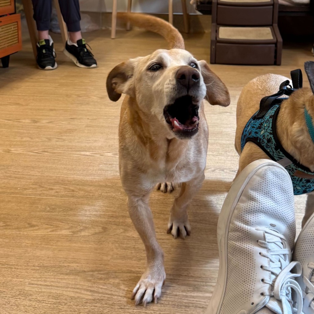 Chuck 13845 — thumbnail 3