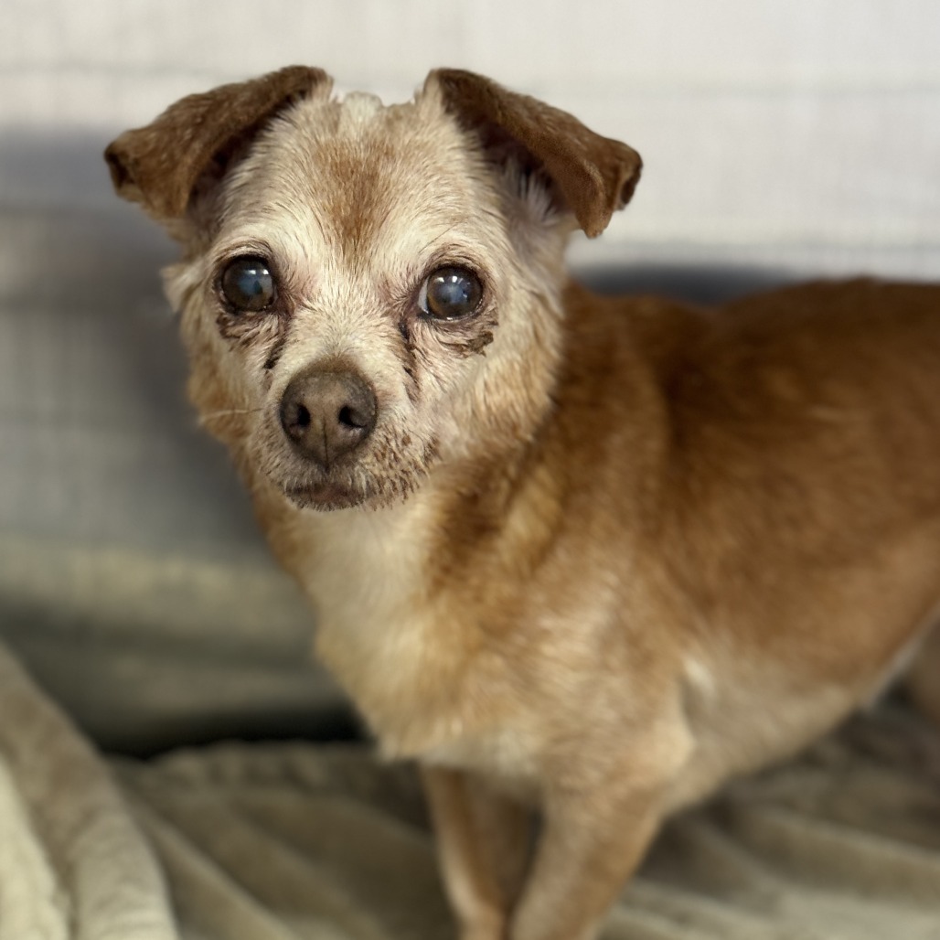 Pinky — thumbnail 2