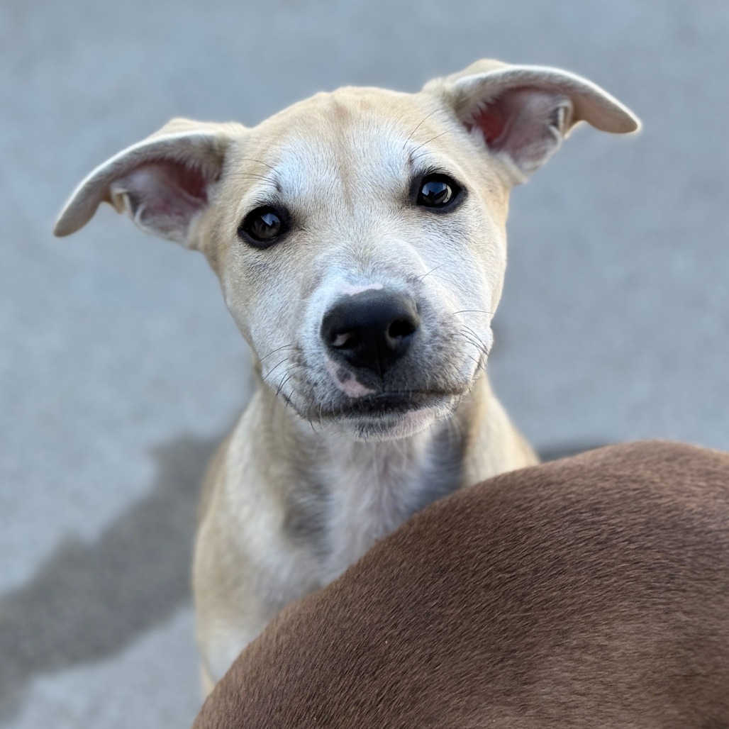 Candy Sprinkles — thumbnail 2