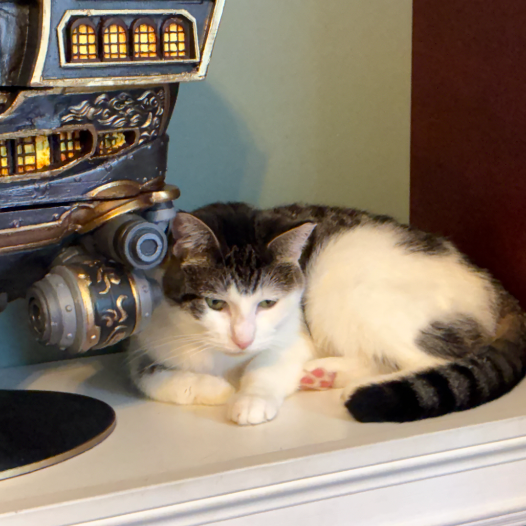 Lucy, photo 33