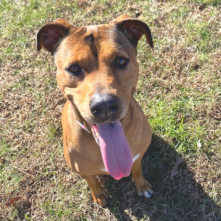 Friday — thumbnail 9