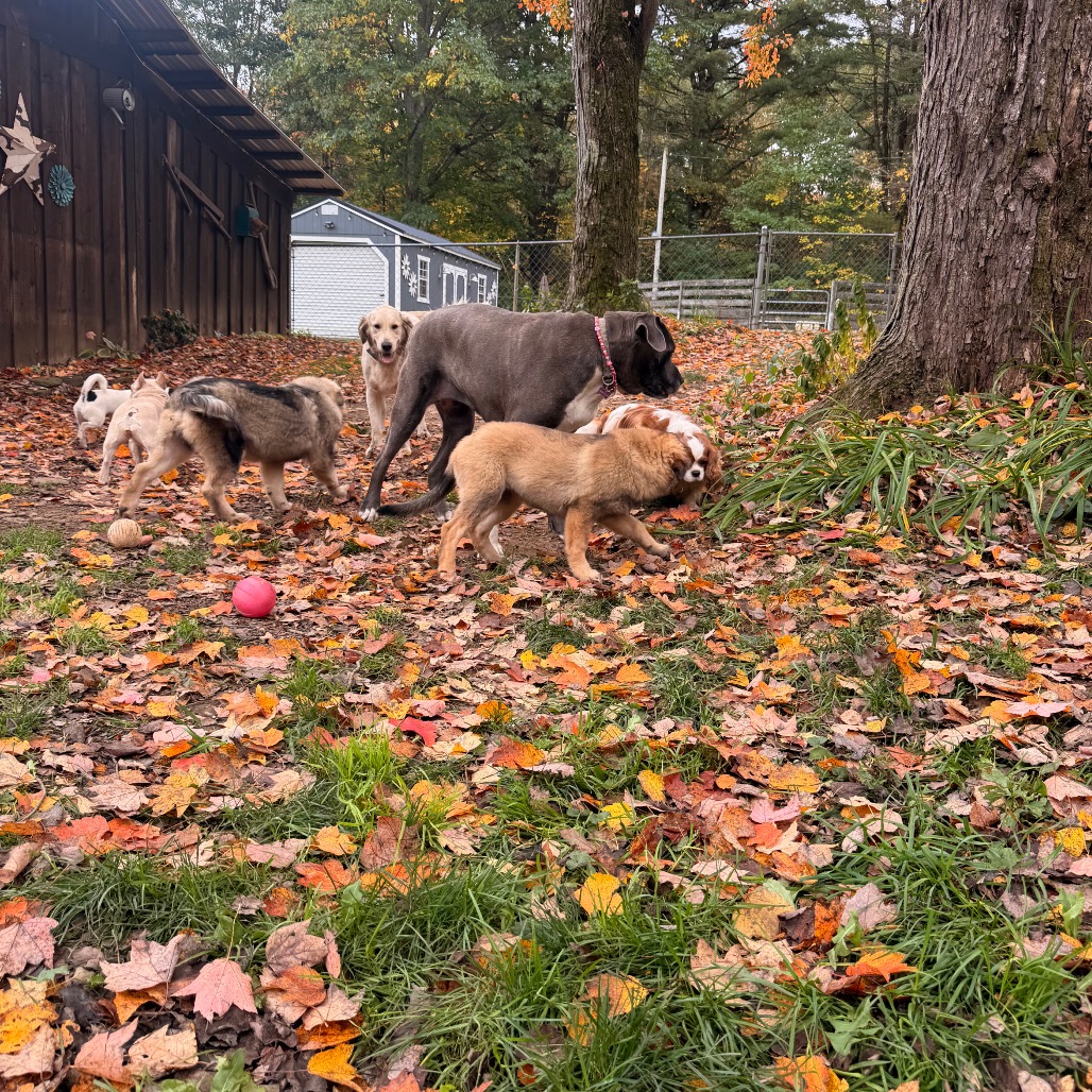 Big Luna, photo 21