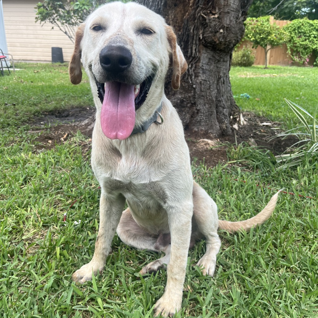 Happy photo 4