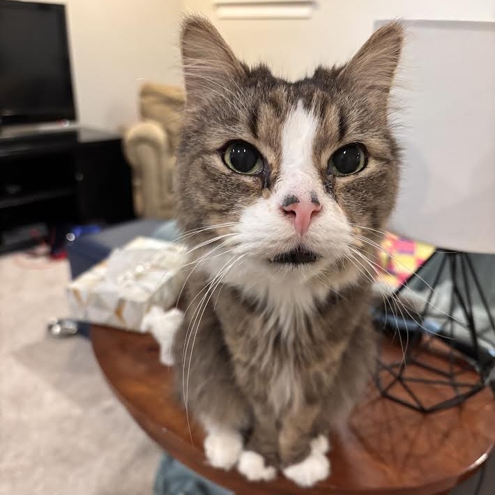 Franklin Parsons and Freddie Pesto - We're a bonded pair! — thumbnail 5