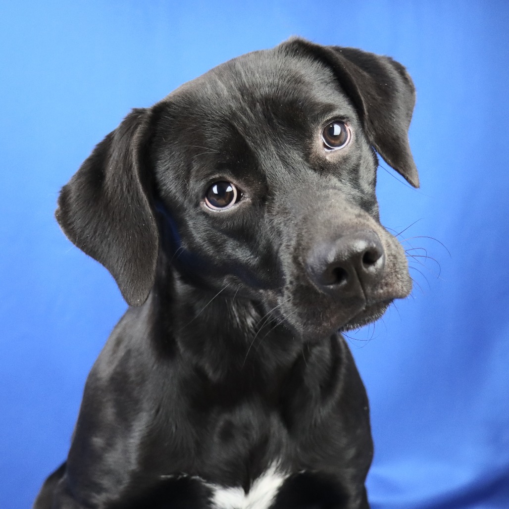 Penelope - 080302U