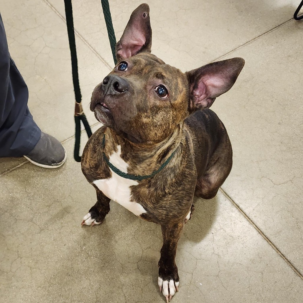 ab8e76df48ef98055537a7286813fa37