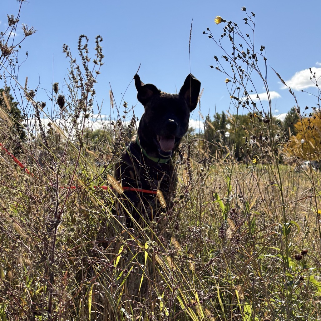 Earl, photo 30