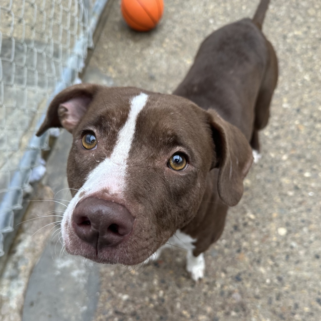 Kiara — thumbnail 3