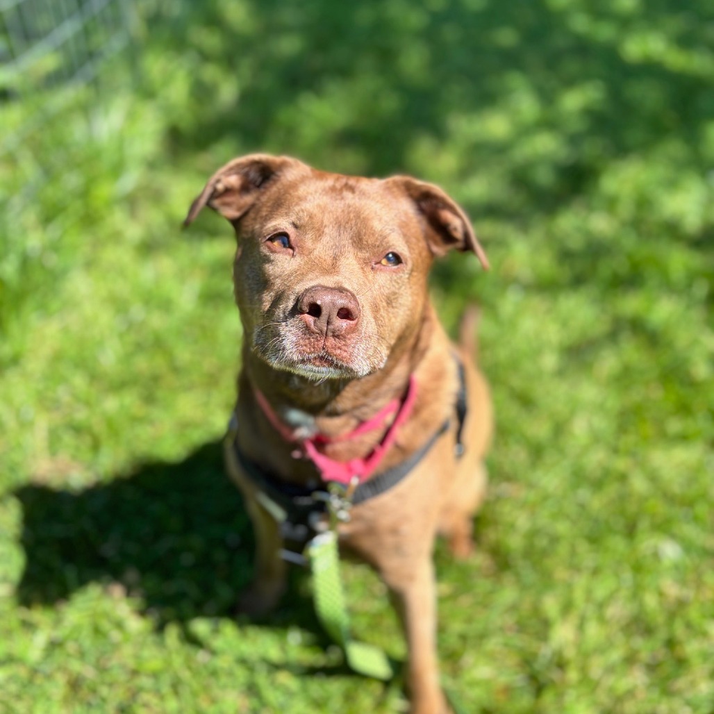 Rex, photo 34