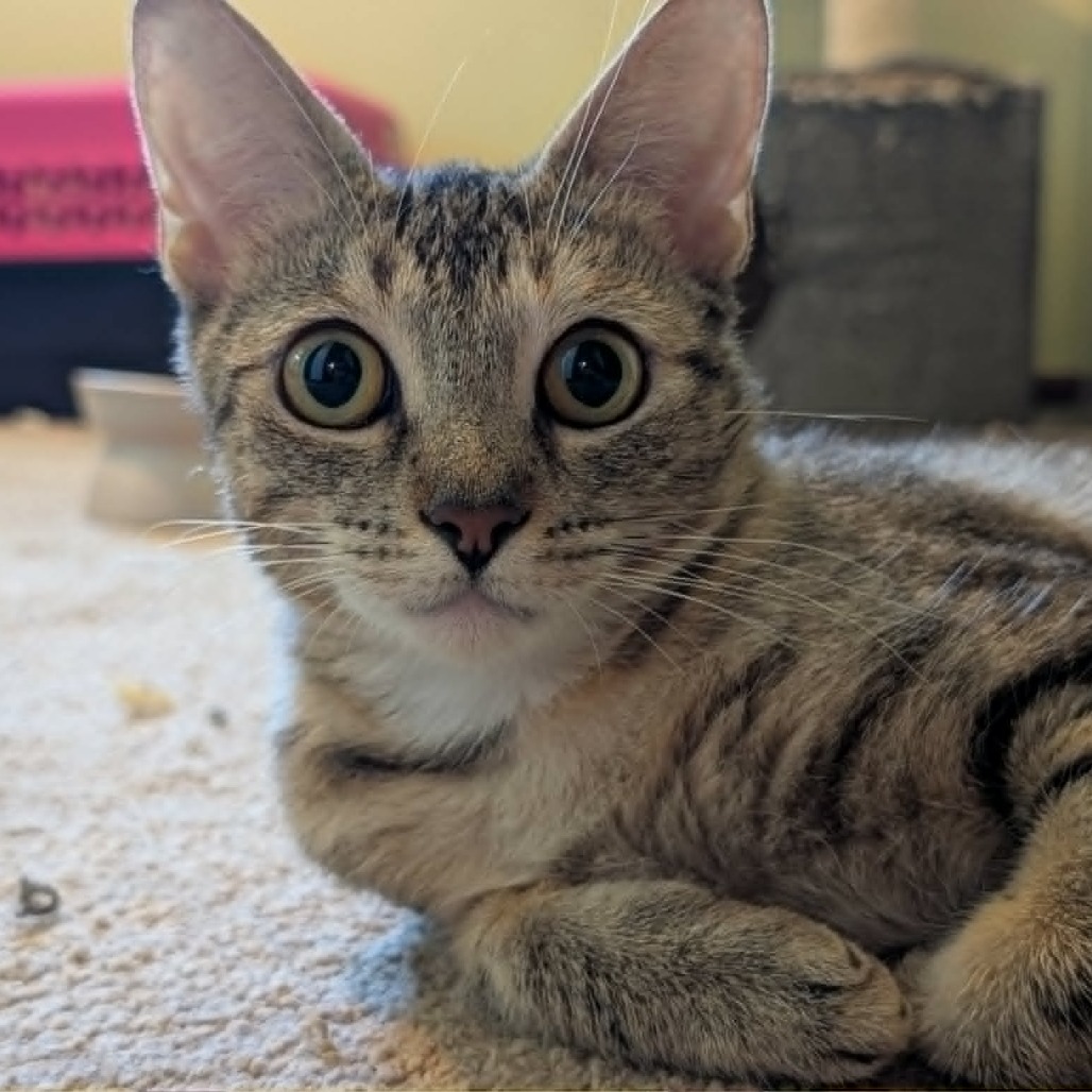 Thelma