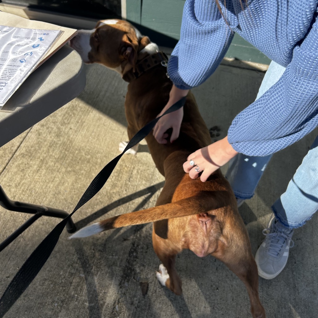 Björk — thumbnail 5