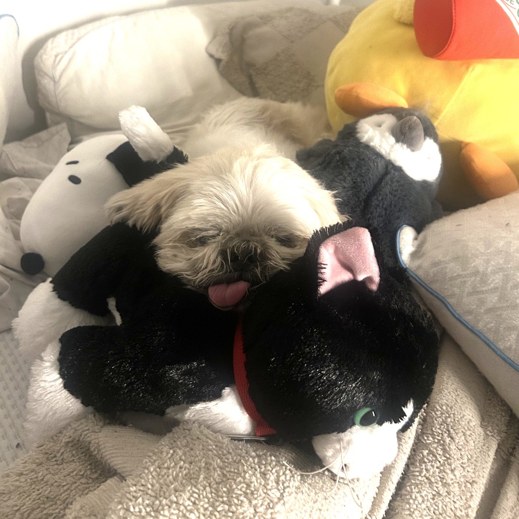 Charlie, photo 10