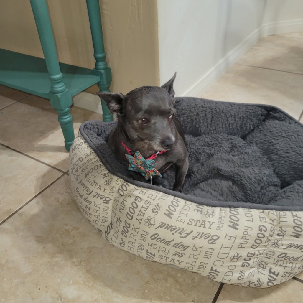 Mavis, photo 4