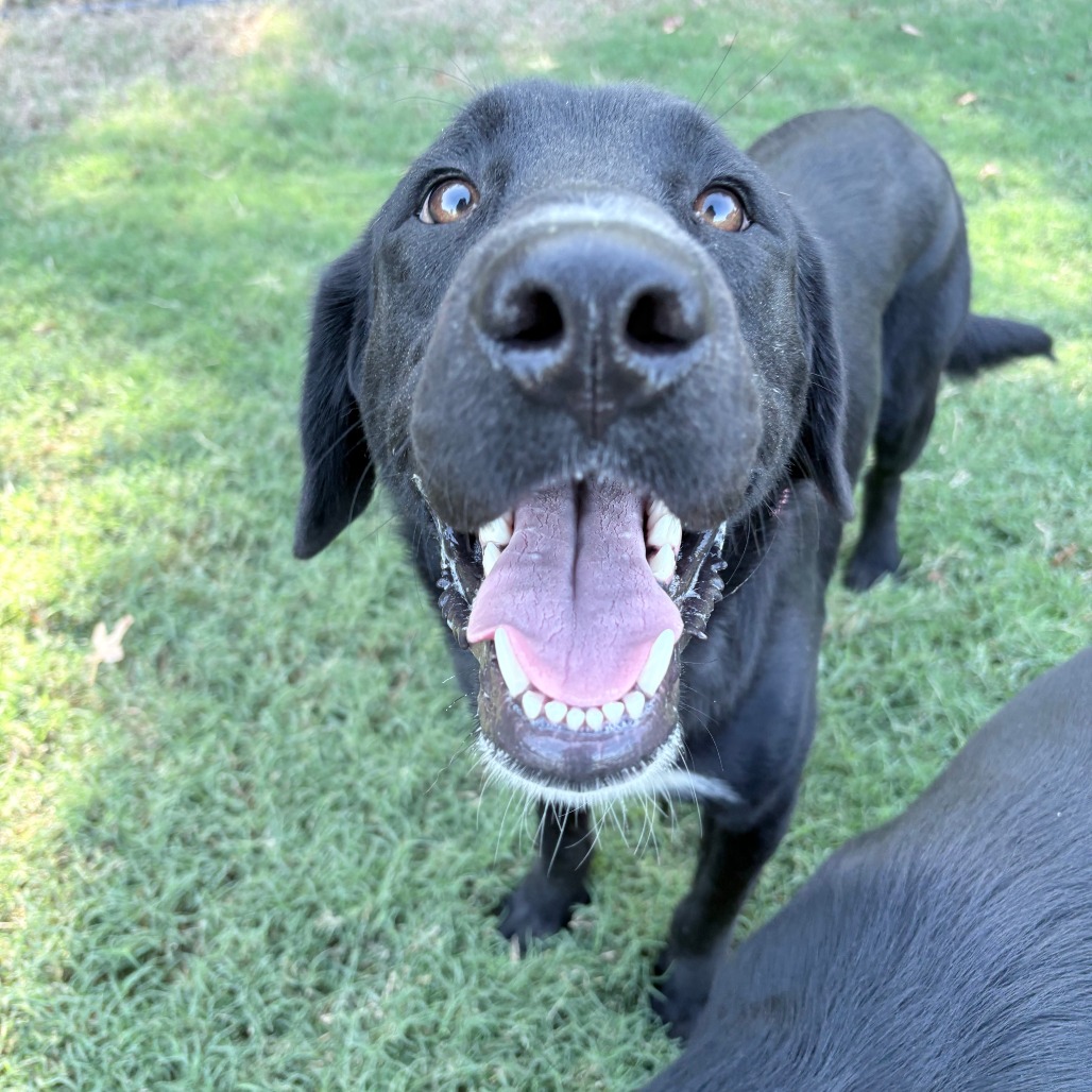 Burt, photo 3