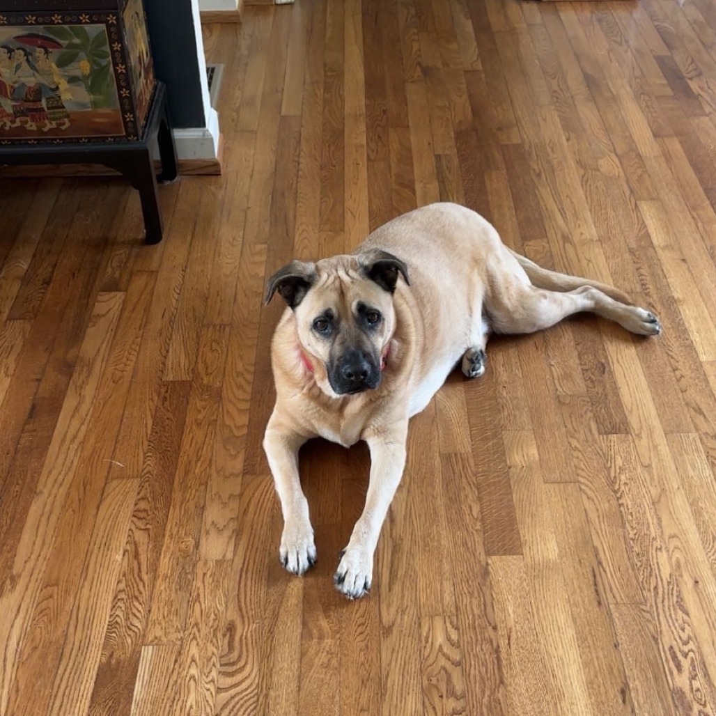 Winston (I have a Secret Crush!), additional photo
