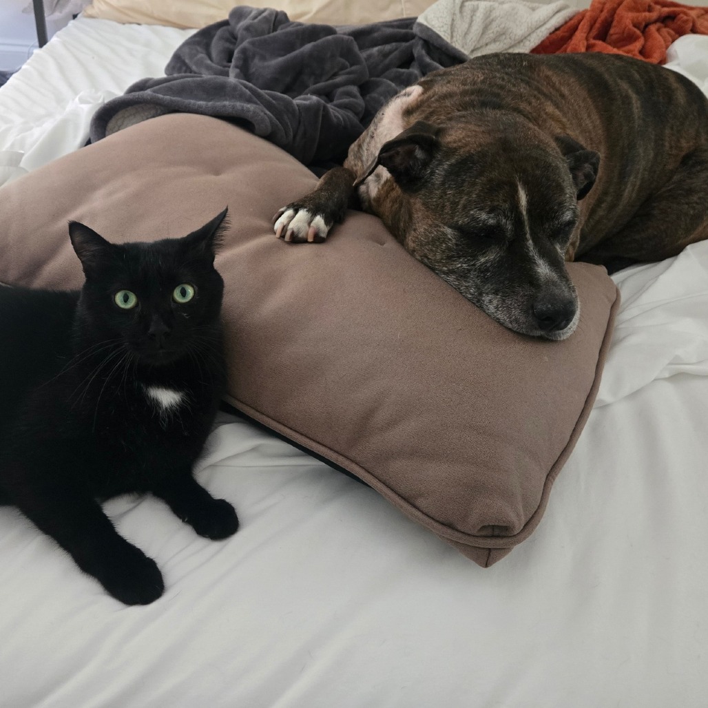 Winnie — thumbnail 2