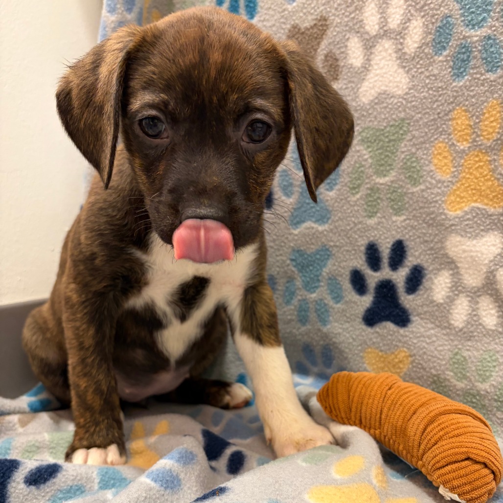 Zester — thumbnail 5