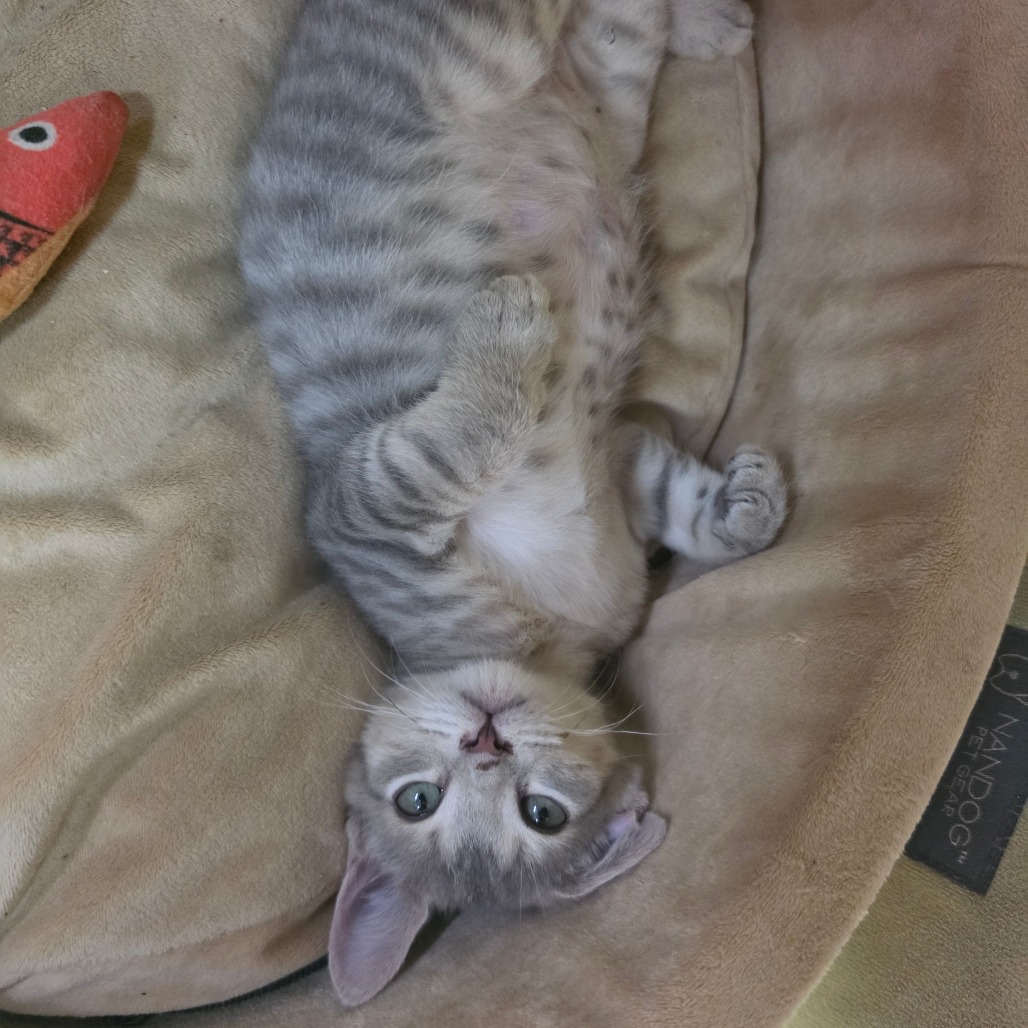 Irwin, photo 7