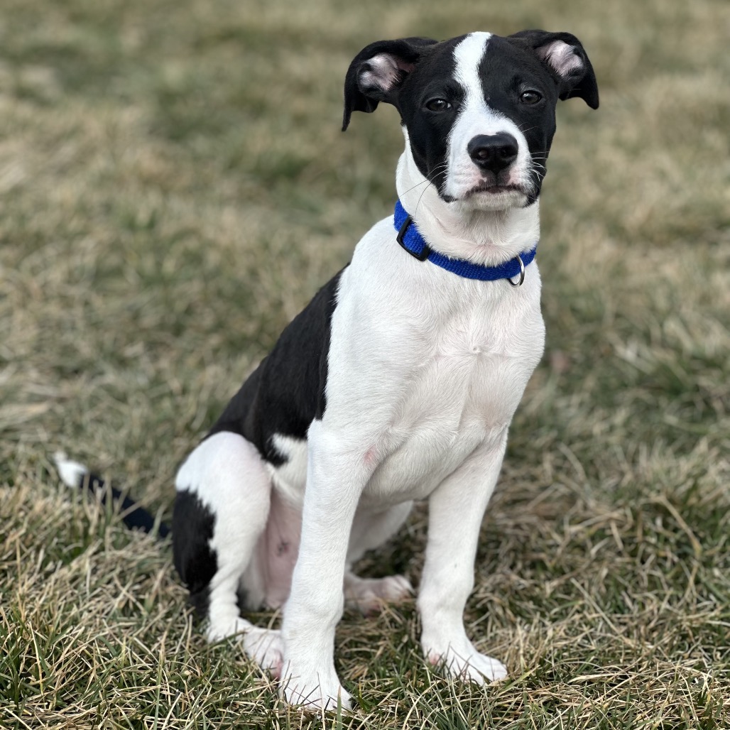 Lightning — thumbnail 2