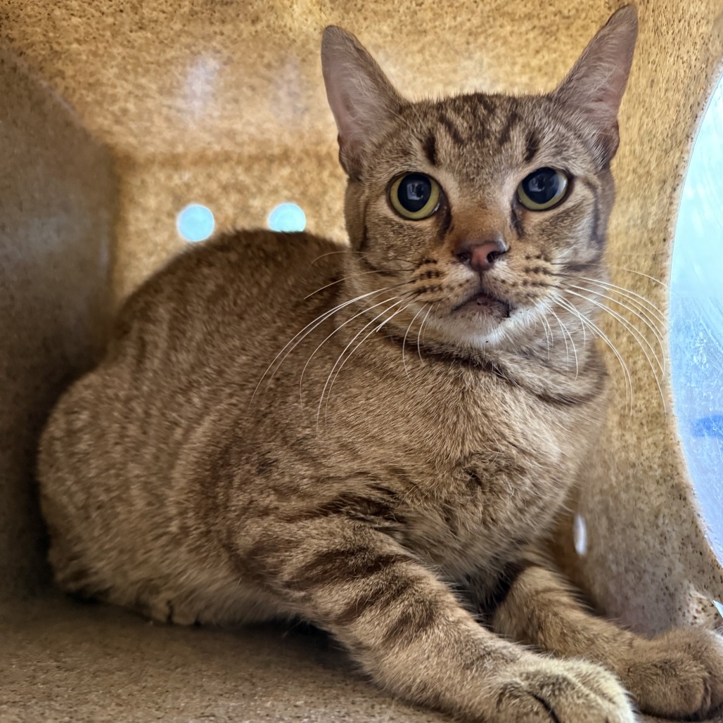 Tusc Wildlife 81427 2