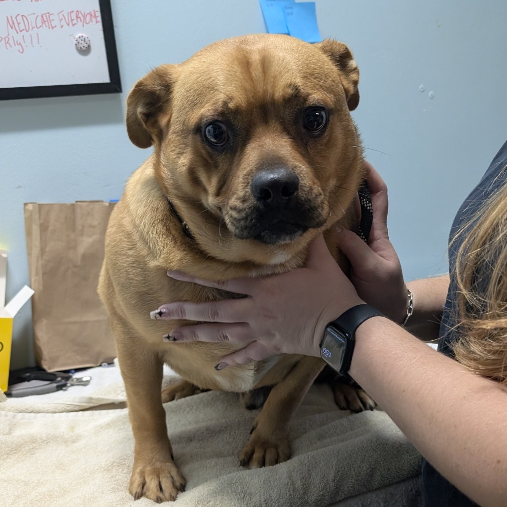 Tater — thumbnail 3