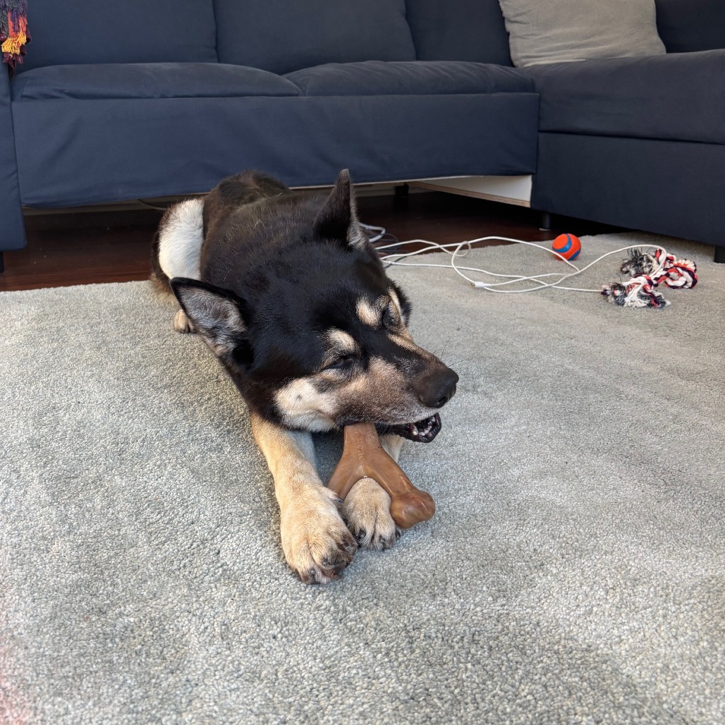 Phantom — thumbnail 4