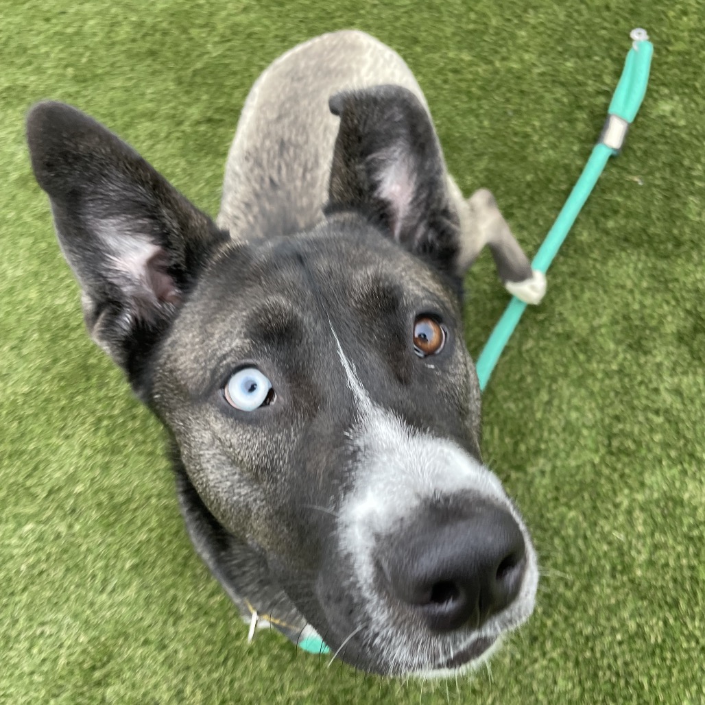 Mittens — thumbnail 3